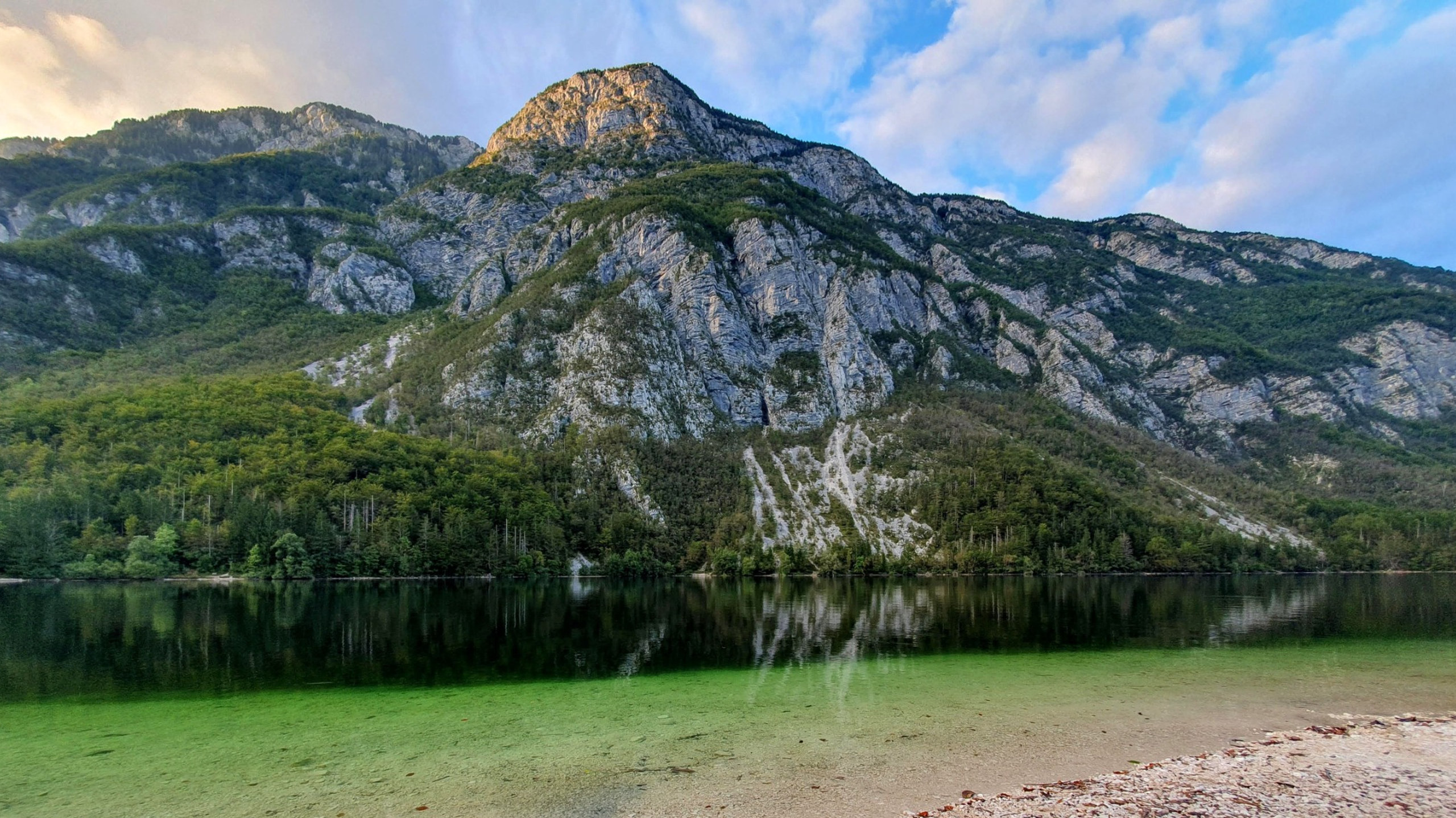 Obala Bohinjskega jezera z gorskim ozadjem pri Privillage Stare v Triglavskem narodnem parku.